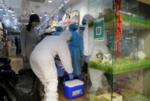 香港允許倉鼠寵物店在新冠病毒撲殺后恢復營業(yè)