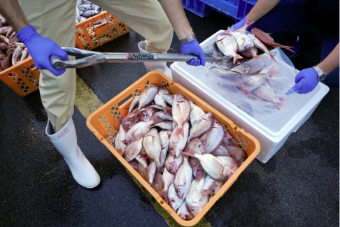 G7呼吁立即取消對日本食品的禁令