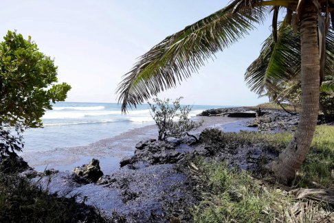多巴哥漏油通過通過潮汐污染加勒比海