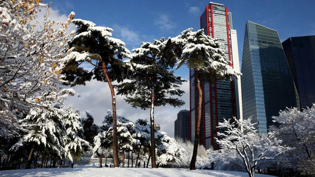 汝矣島公園的摩天大樓前矗立著白雪覆蓋的樹(shù)木