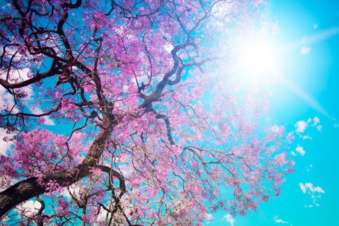 溫網(wǎng)在溫州 溫州網(wǎng)球公開(kāi)賽